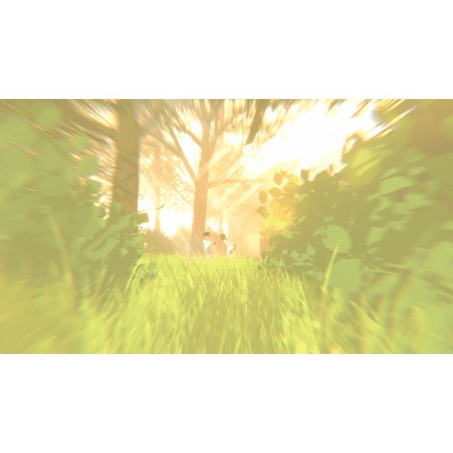 The Wreck Nintendo Switch™