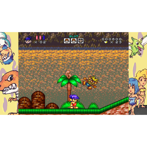 Joe & Mac Retro Collection Nintendo Switch™